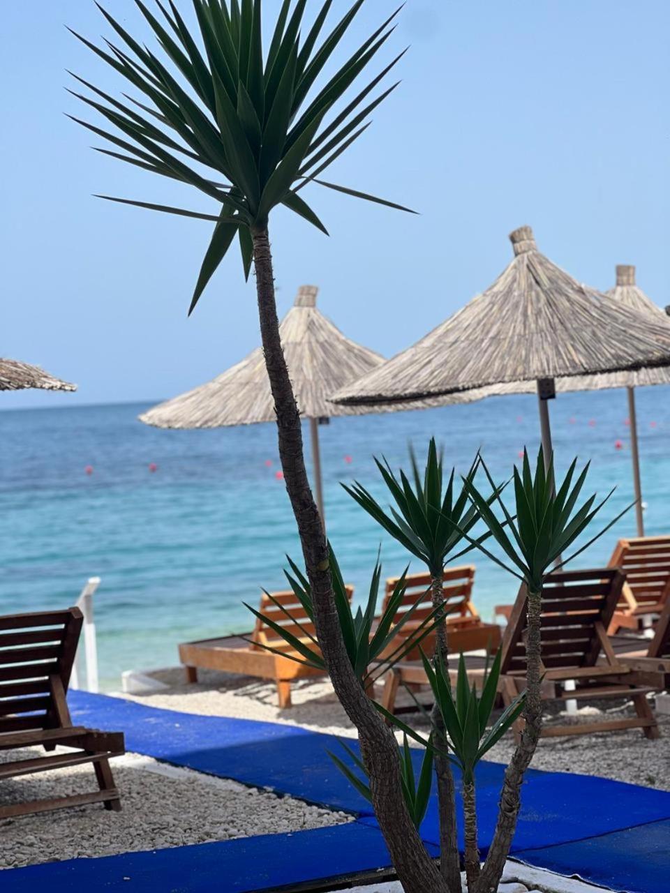 Hotel Jonufra Kanine Dış mekan fotoğraf