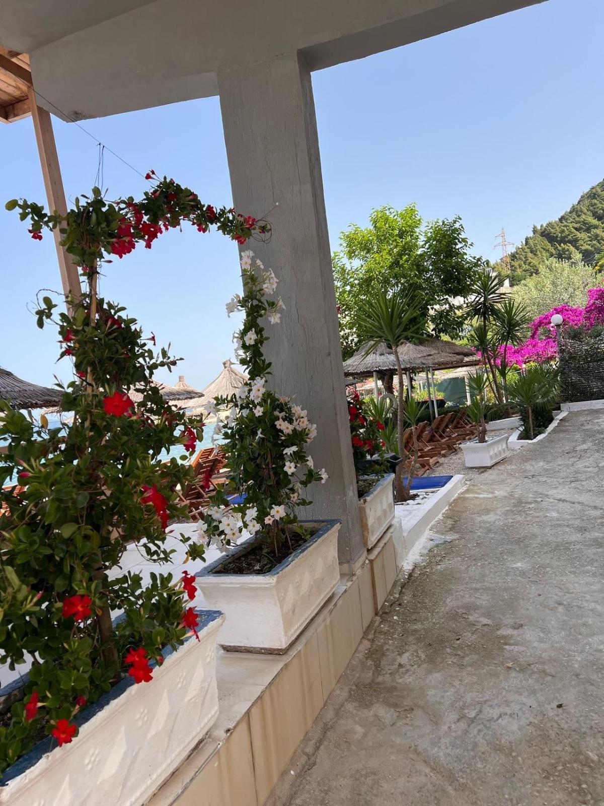 Hotel Jonufra Kanine Dış mekan fotoğraf